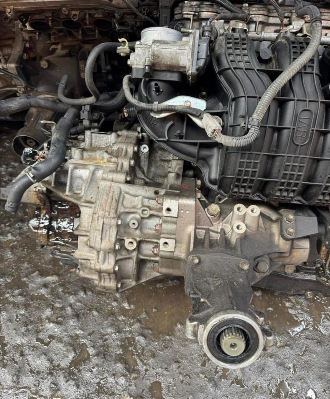 Toyota Venza 1AR Engine with 22-Pins Gearbox