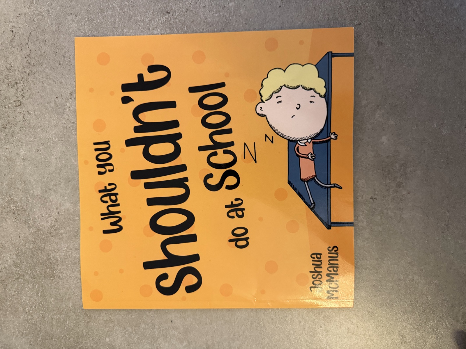 What You Shouldn't Do at School Children's Book