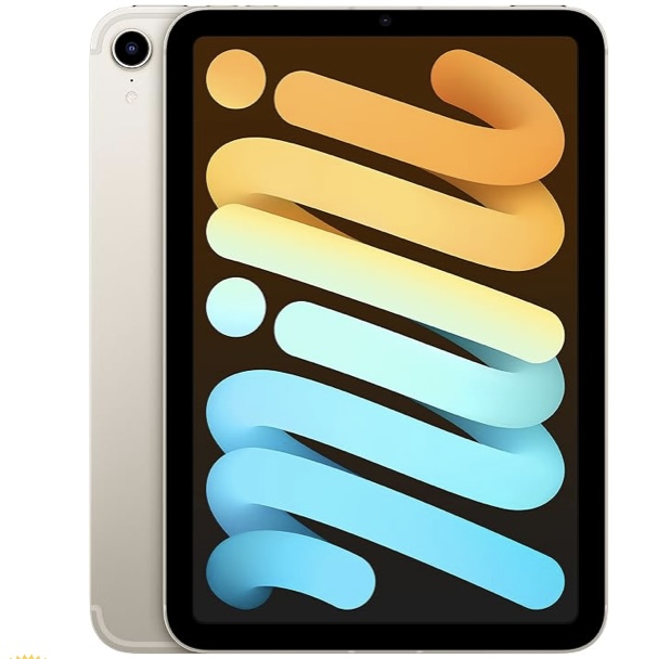 Ipad mini 256GB [6th gen] [wifi + cellular]