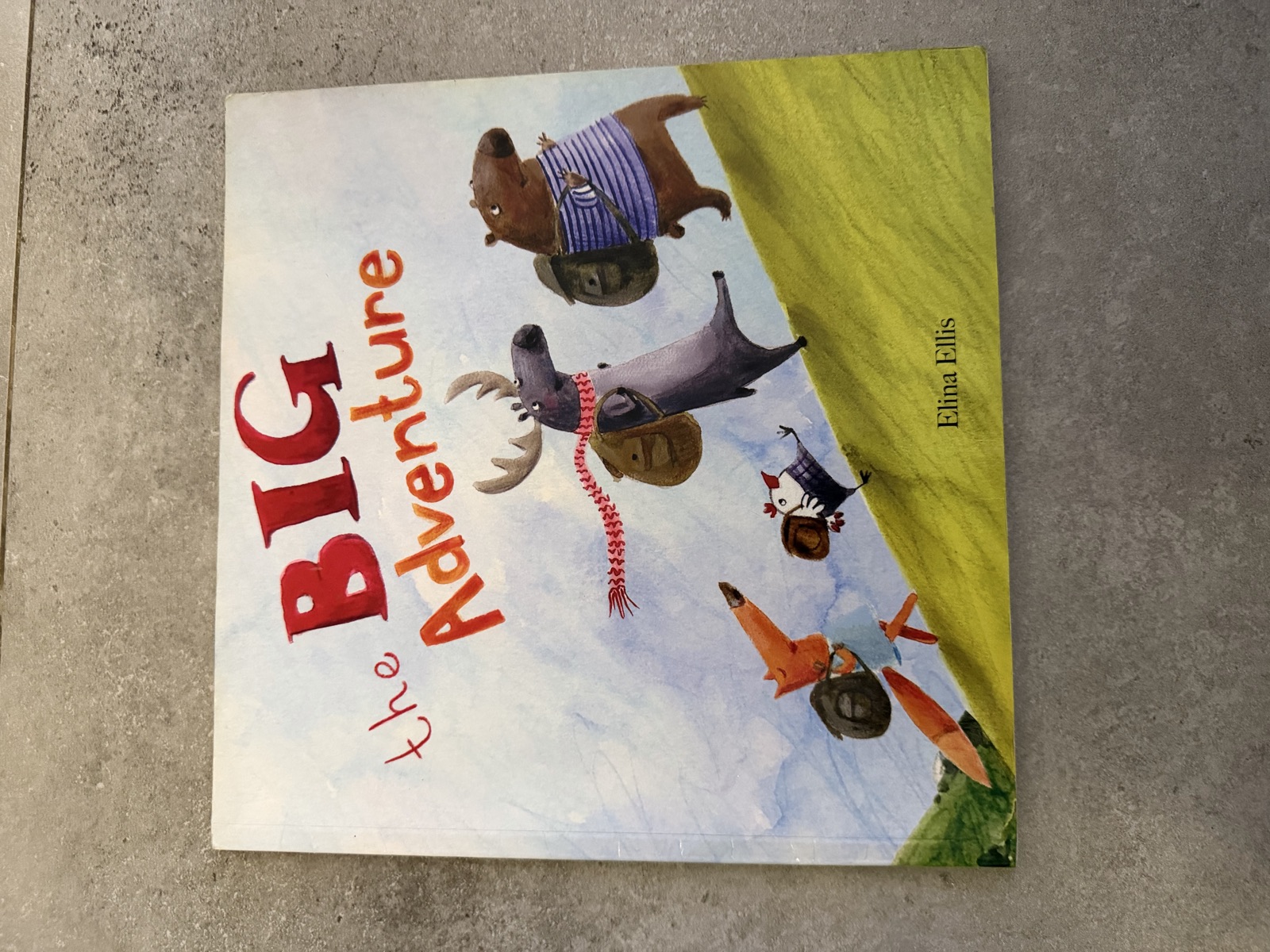 The Big Adventure Children's Book
