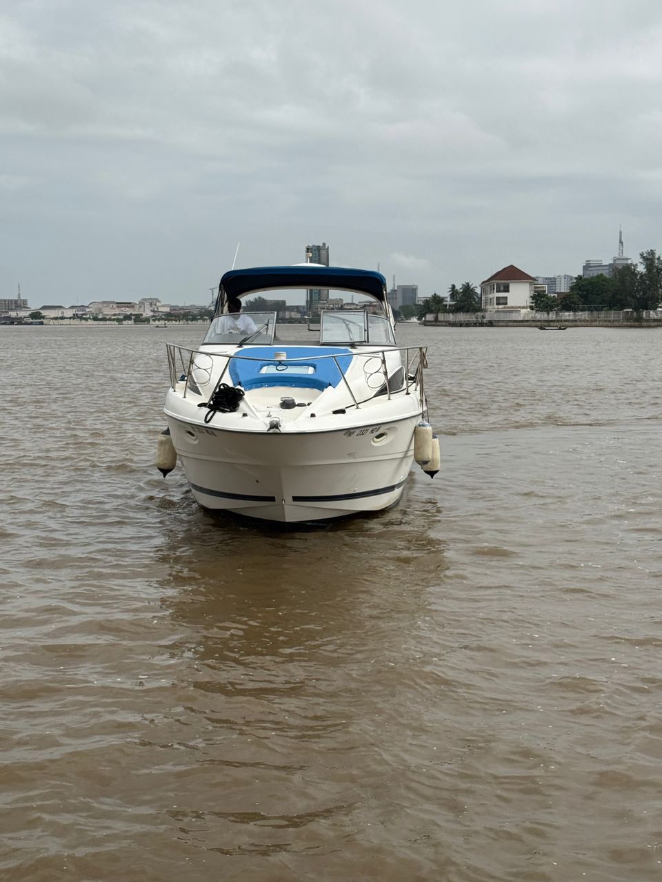 Sea Ray Speed Boat, White — photo 2