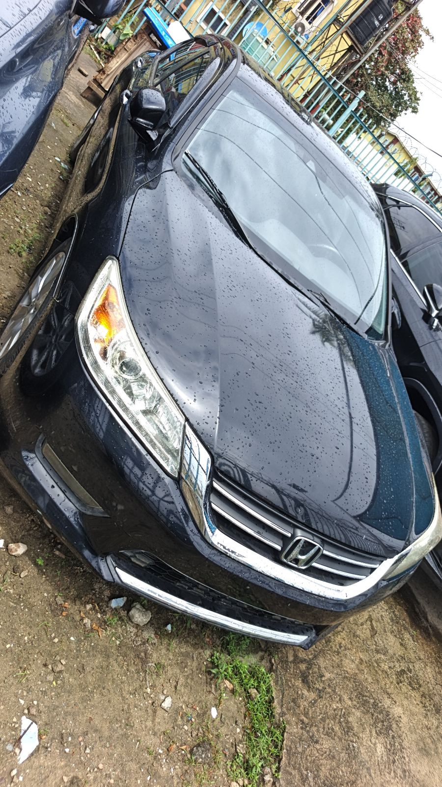 Honda Accord Black Sedan, Very Presentable — photo 4