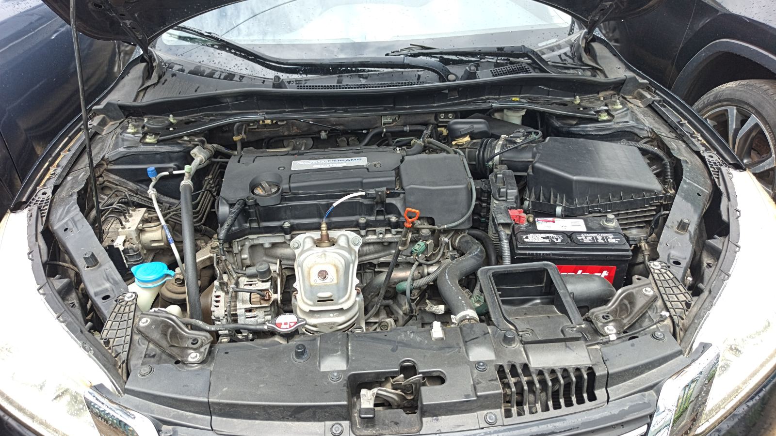 Honda Accord Black Sedan, Very Presentable — photo 8