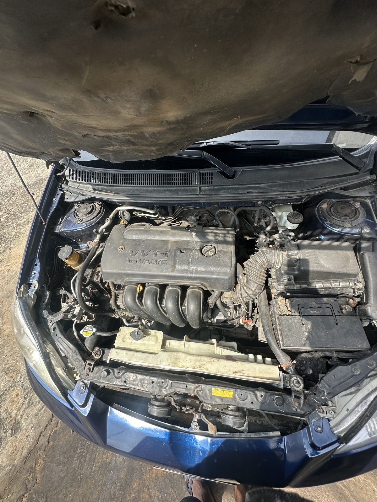 Toyota matrix