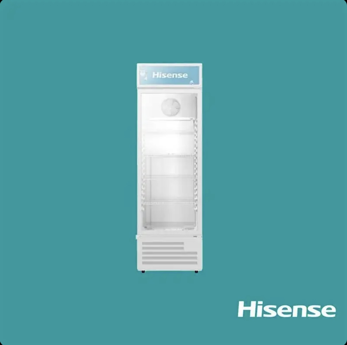 Hisense Showcase Refrigerator 241L (31FC-FL)