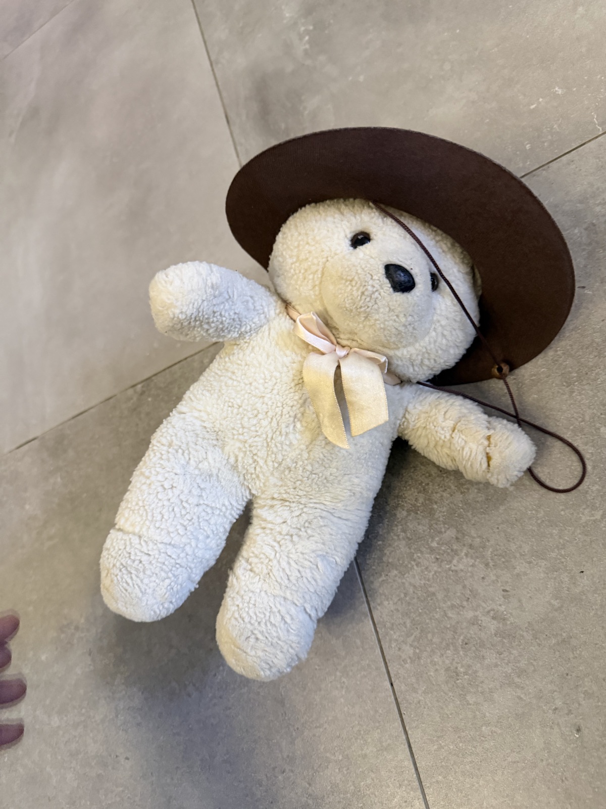 Teddy Bear with Cowboy Hat