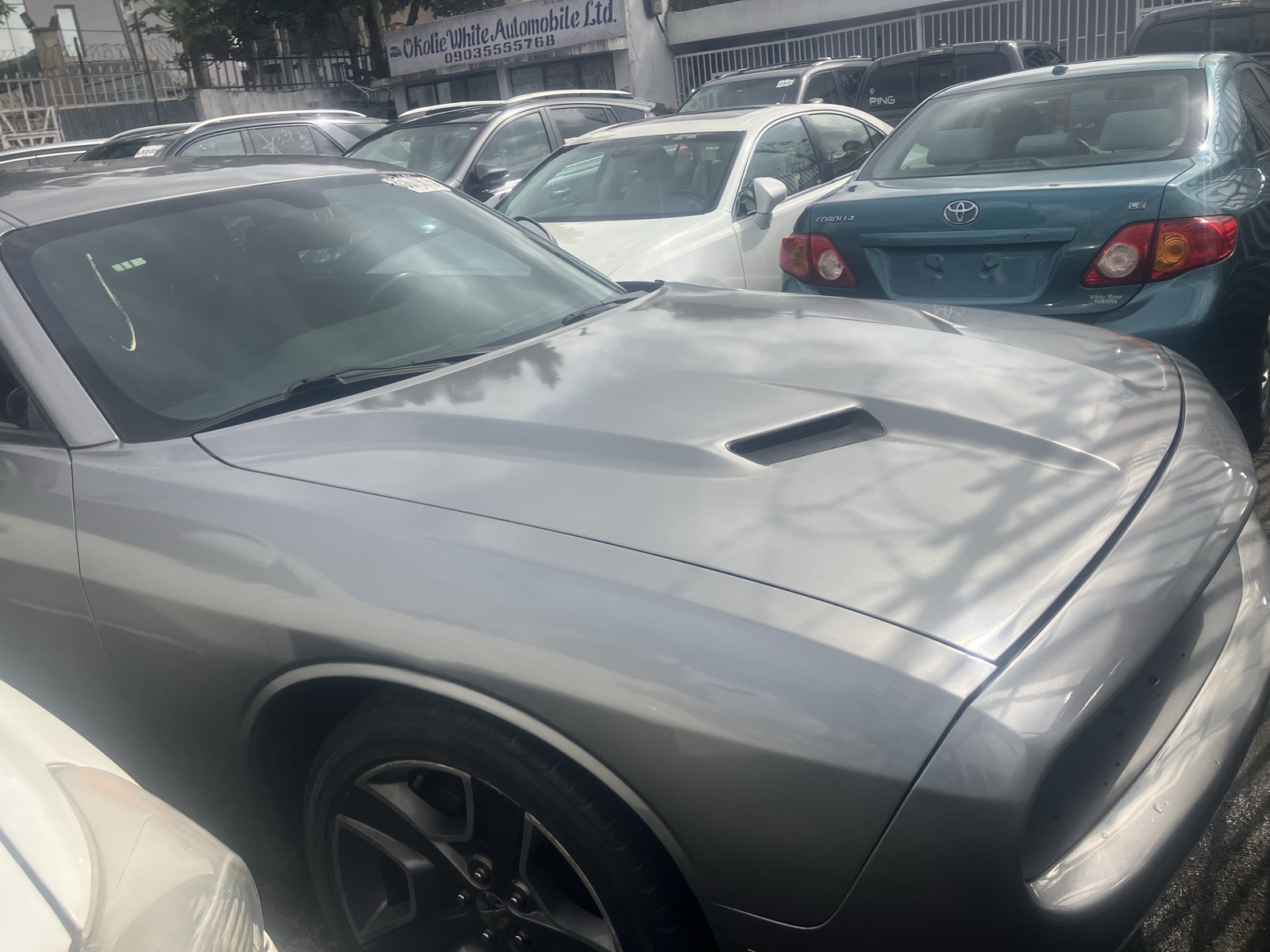 Dodge