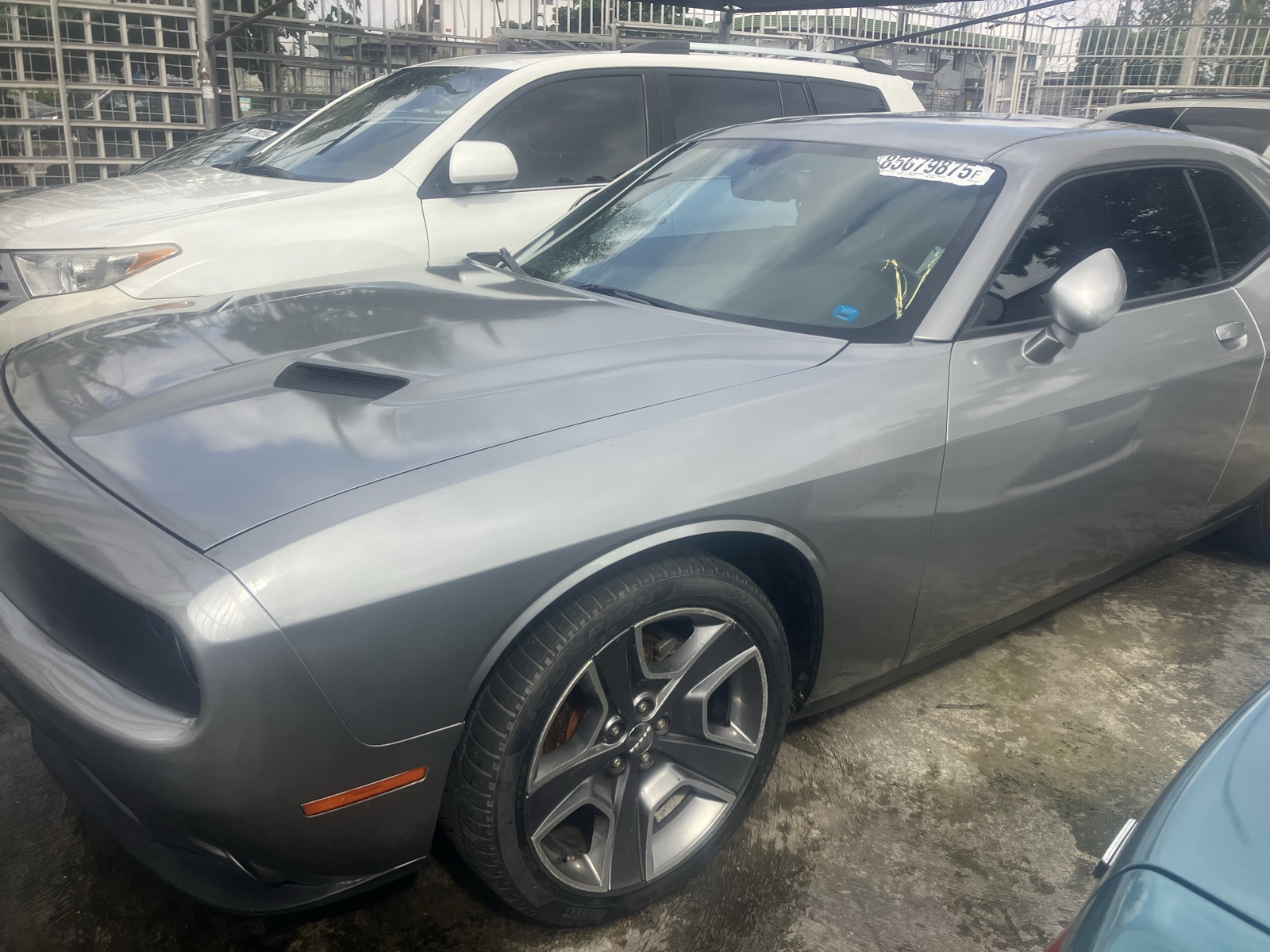Dodge