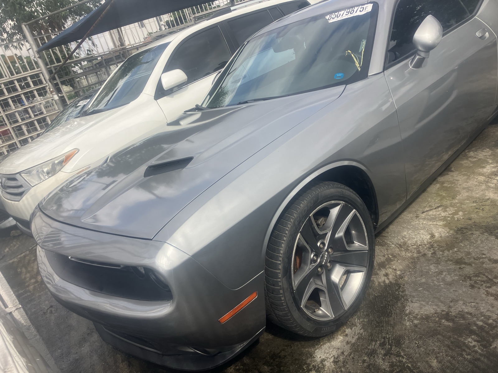 Dodge