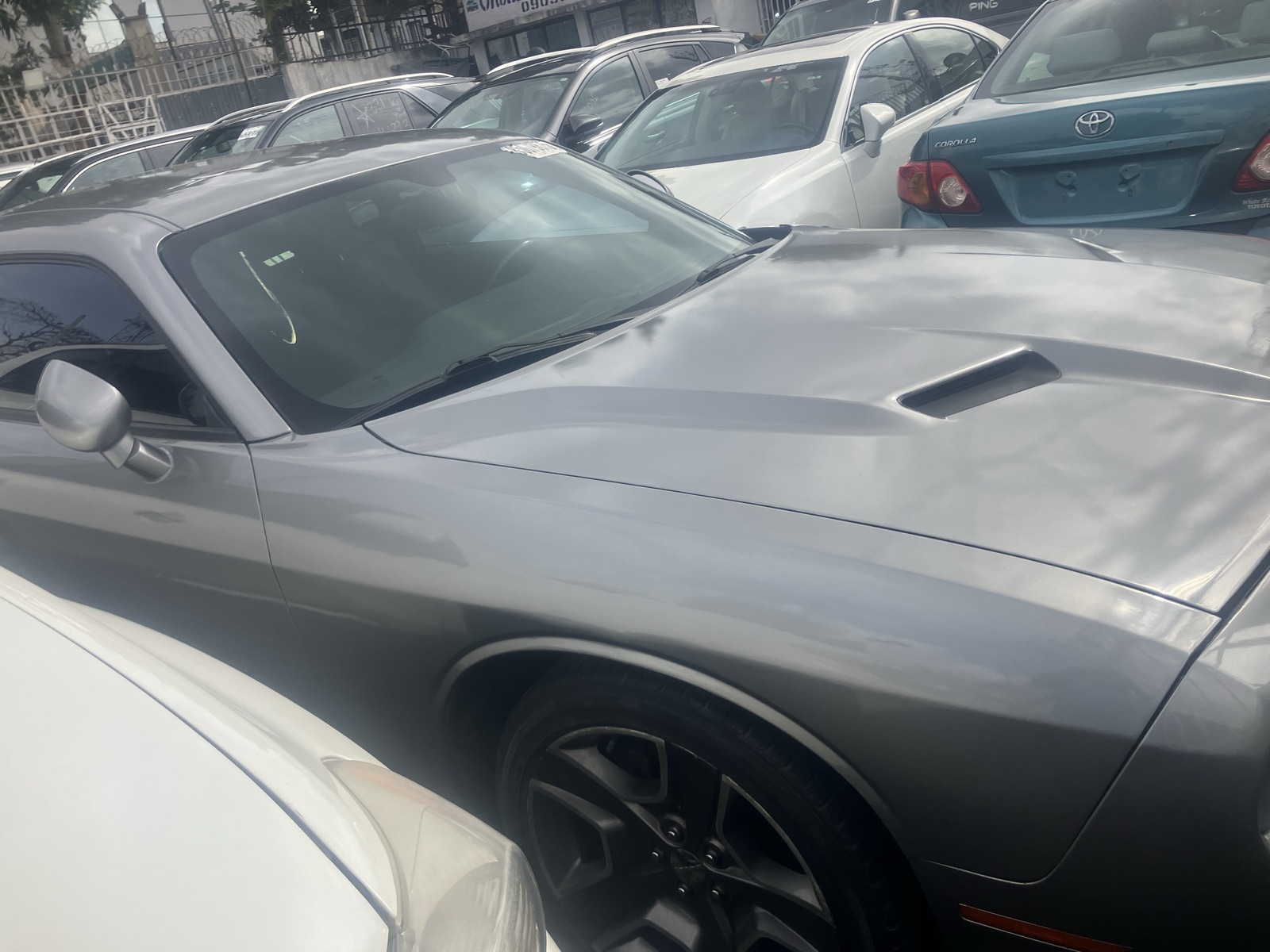 Dodge