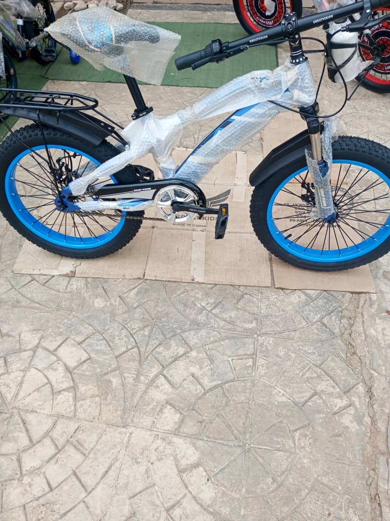 Size 20 fat tire bicycle