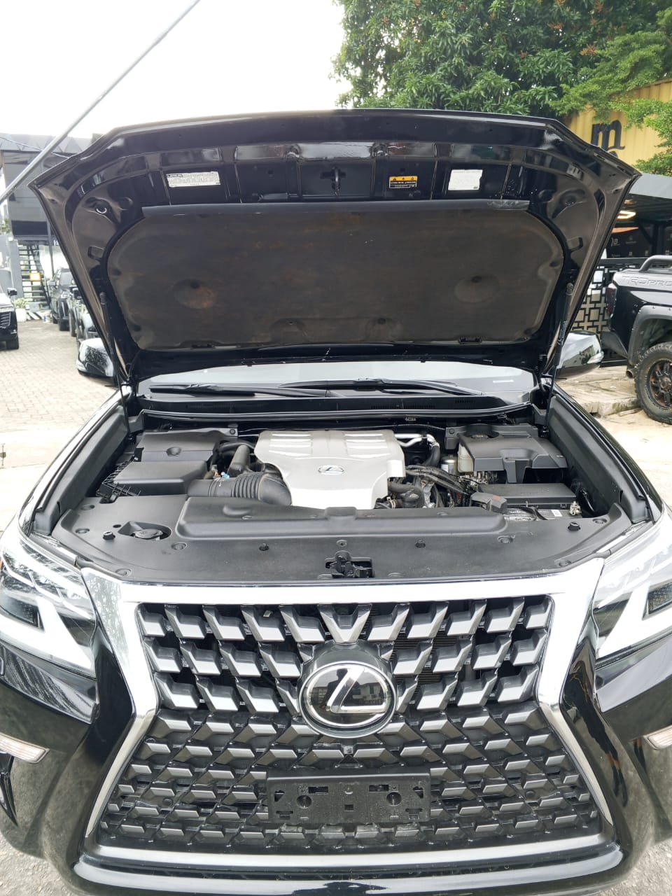 ,Lexus GX 460