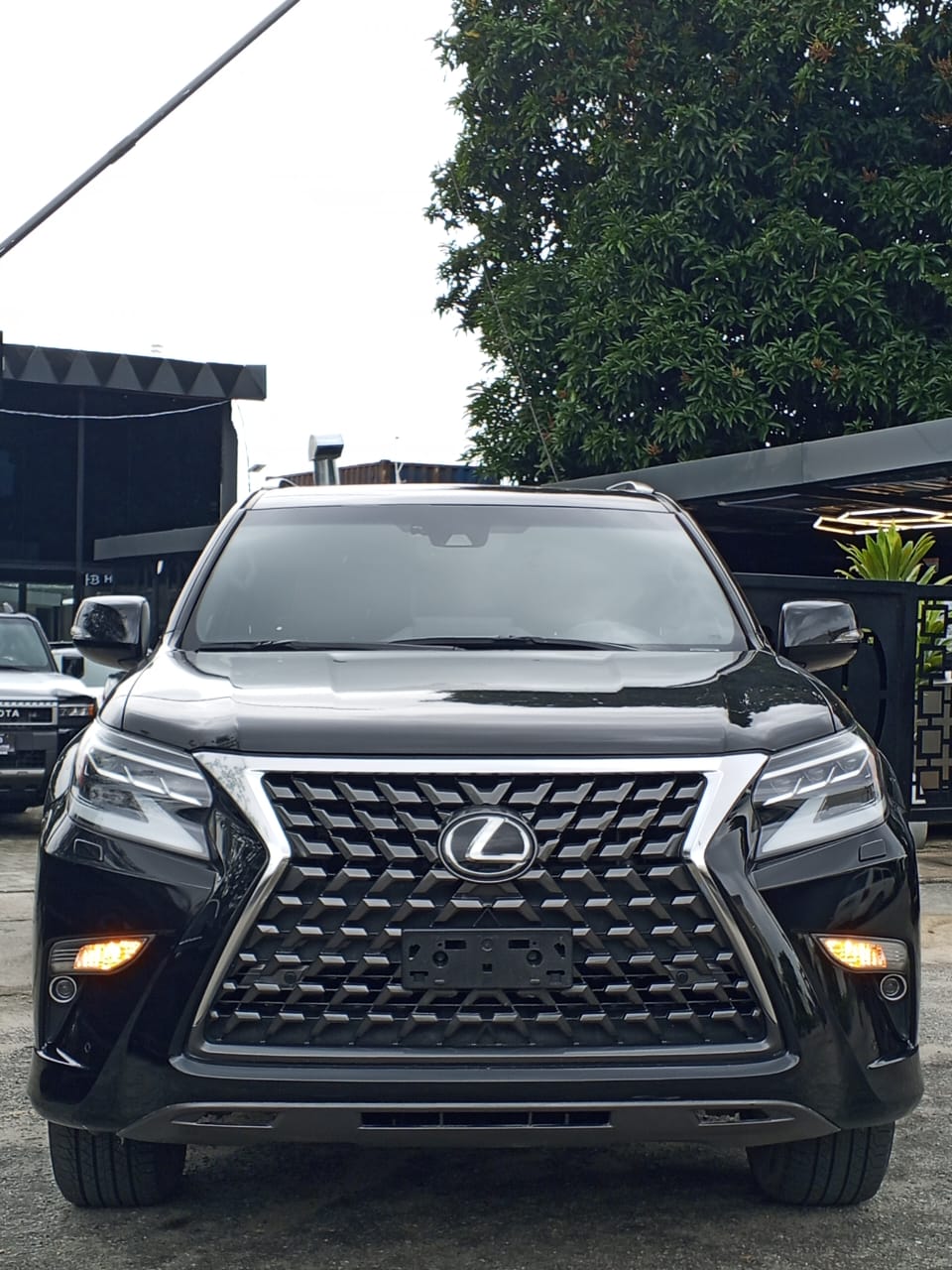 ,Lexus GX 460