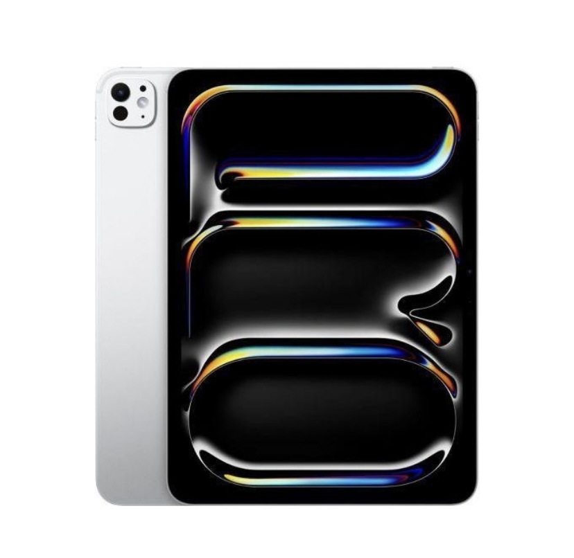 Ipad pro 11 inch [4th Gen] [wifi + cellular] [512GB]