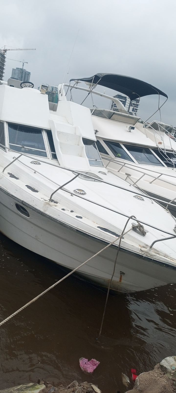 Cabin Cruiser Boat for Rent