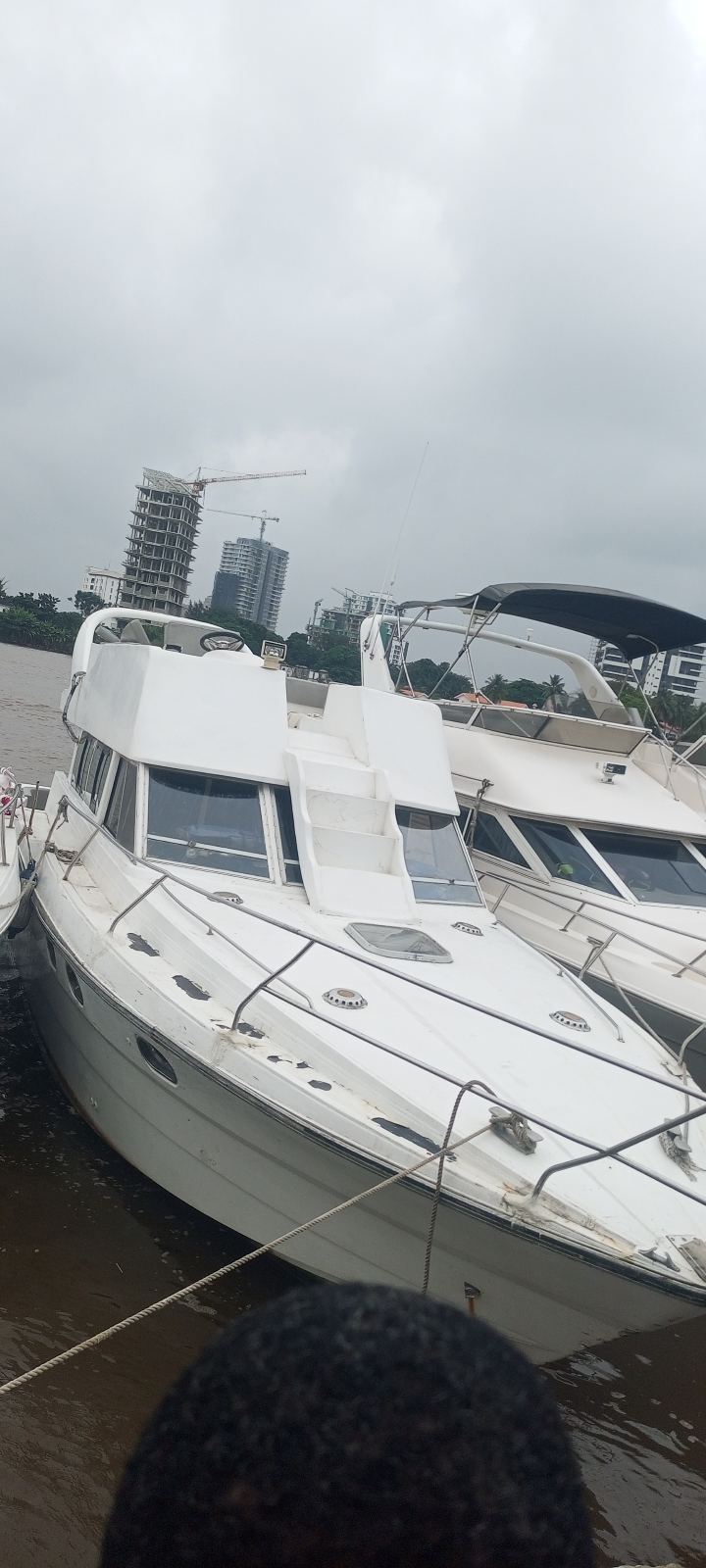 Cabin Cruiser Boat for Rent — photo 2