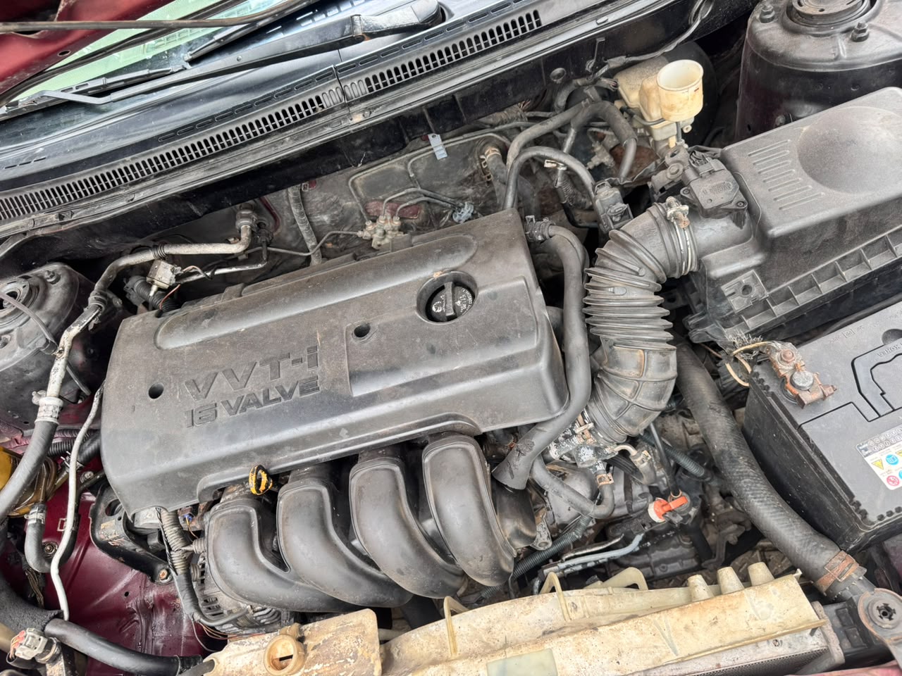 2006 Toyota Corolla Red Sedan — photo 6
