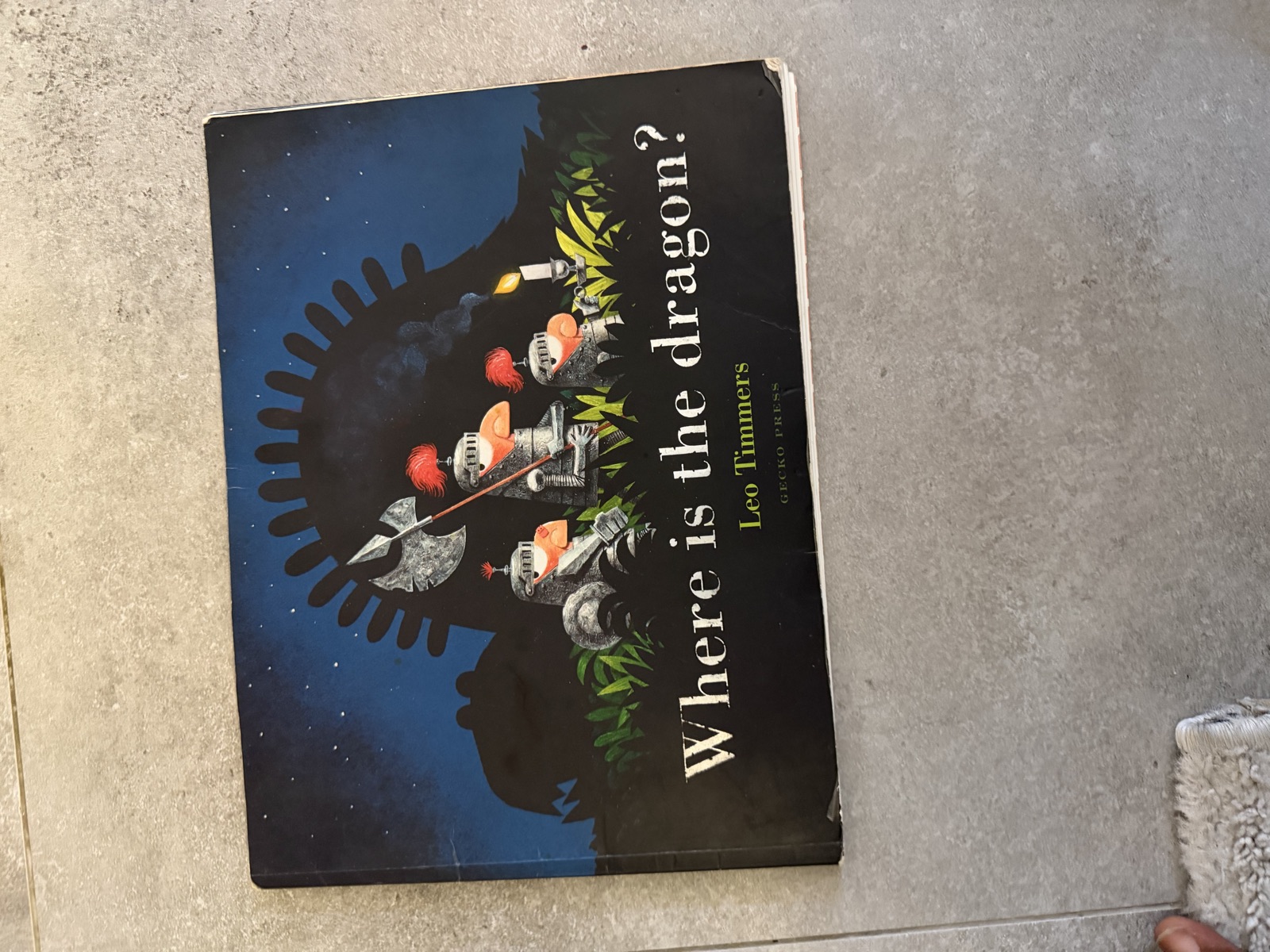 Where is the dragon? Children's Book by Leo Timmers